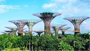 Gardens by the Bay